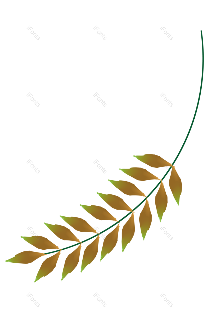 绿叶图片,花卉元素,花草PNG,树叶免抠素材